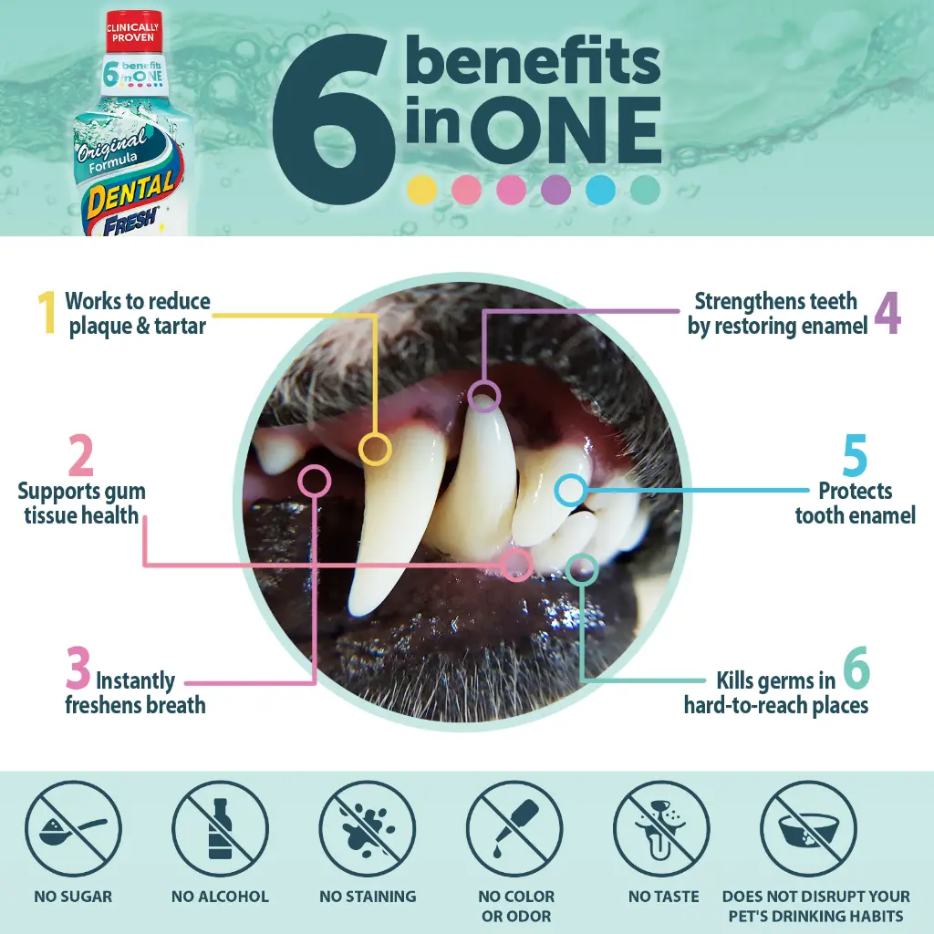 3-DF_Original_17oz_Amazon_Benefits_1600x1600.webp