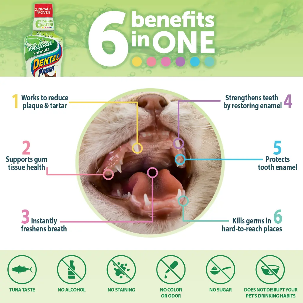 3-DF_Cat-Original_8oz_Amazon_Benefits_1600x1600.webp