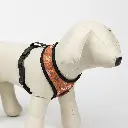 ARNES PARA PERROS STAR WARS_4.webp