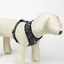 ARNES PARA PERROS STAR WARS_3.webp