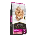 Gato_Sterilize_Lateral_Pro_Plan.png.webp
