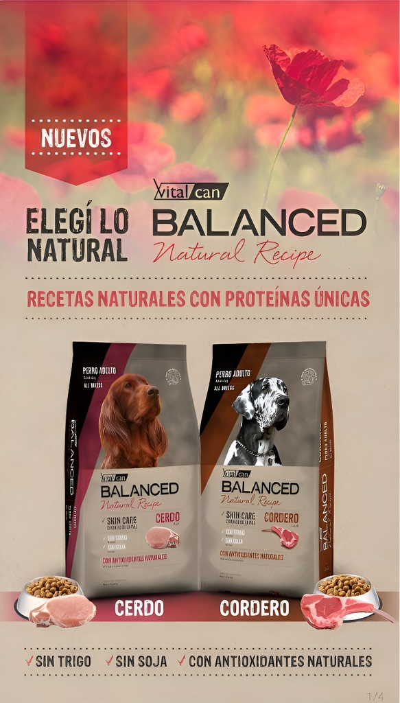 Alimento Vitalcan Balanced Natural Cordero Perro Adulto 15 K
