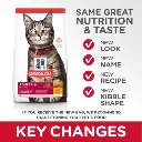 sd-feline-adult-dry-productSpotlight1_500.webp