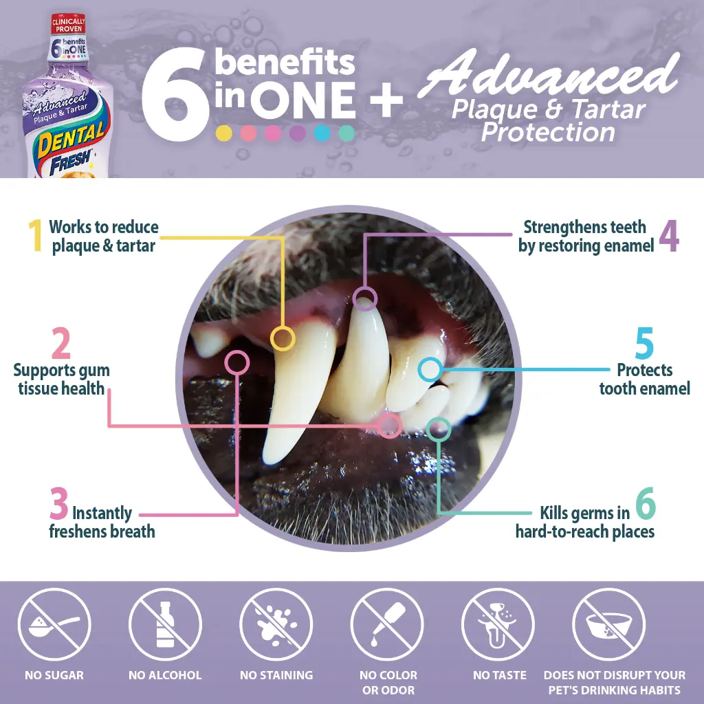 3-DF_Advanced_17oz_Amazon_Benefits_1600x1600.webp