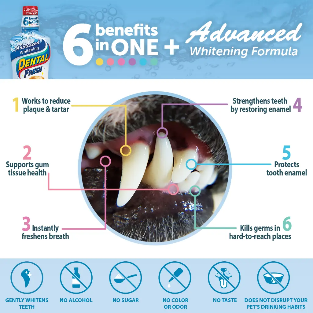 3-DF_Whitening_17oz_Amazon_Benefits_1600x1600.webp