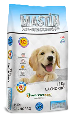 Mastin cachorro 15 kg