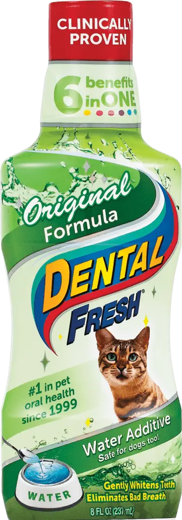 Dental Fresh Gato Original Formula 237 Ml