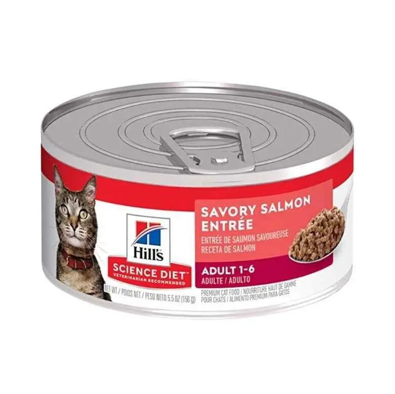 Hills Gato Science Diet Salmon 156 Gr